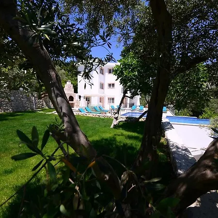 Vildan